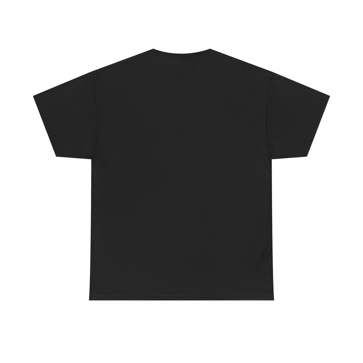 Texas Top BBQ Joints t-shirt