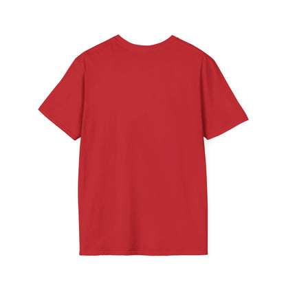 Funny BBQ Shirt: Things I Do for Pitmasters & BBQ Fans | Unique BBQ Apparel | Pitmaster Shirt | Barbeque Gifts | Gift for Meat Smoker