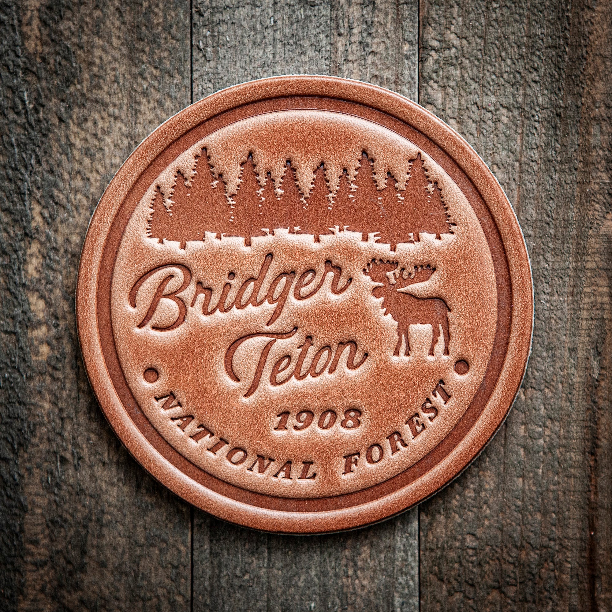 Bridger Teton National Park Leather Coaster